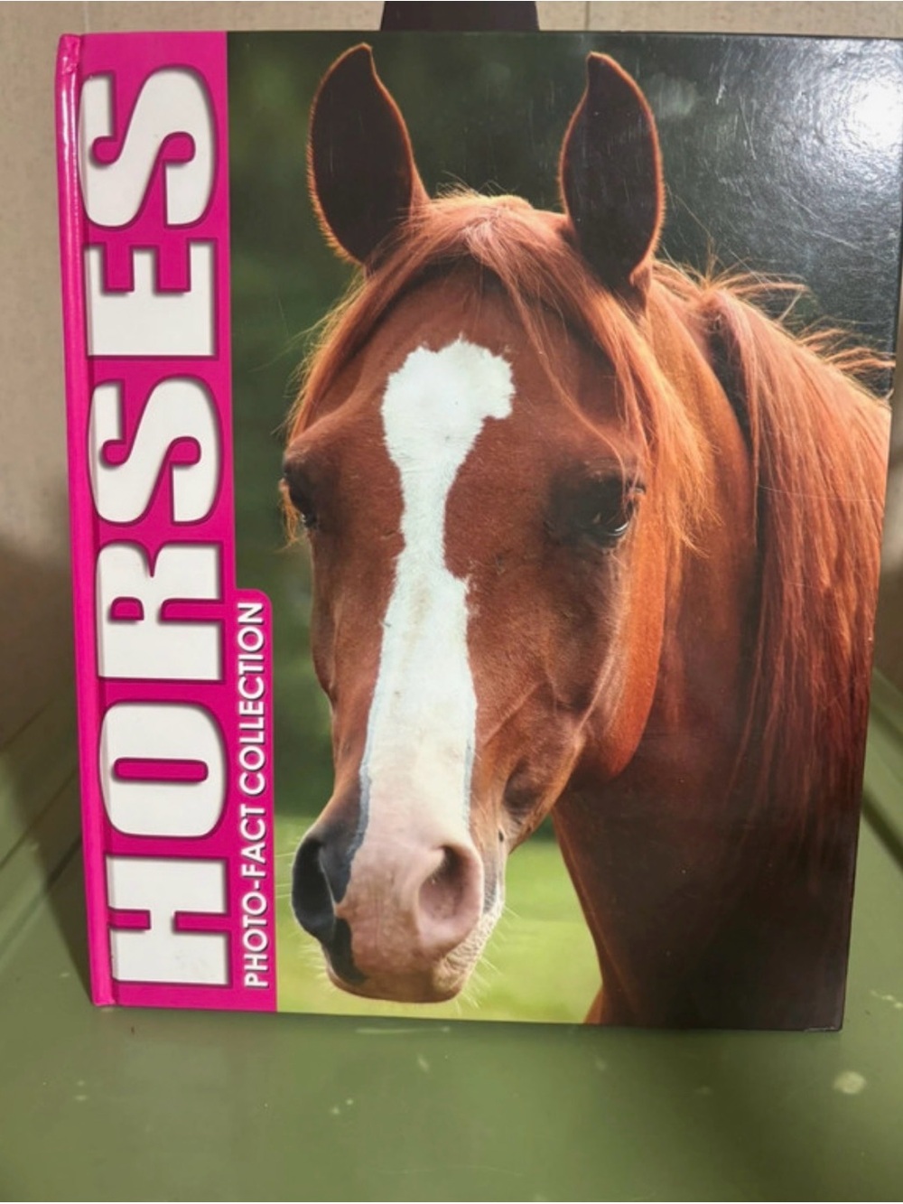 Horses hardcover book